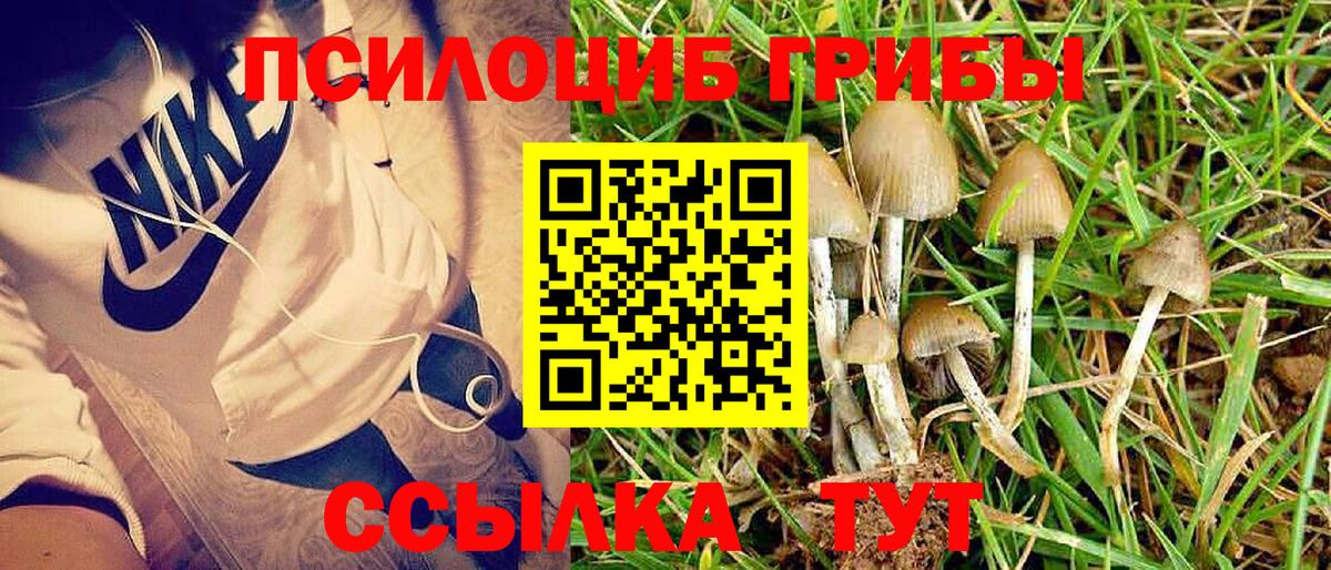 Джанкой  Псилоцибиновые грибы Psilocybine cubensis  Галлюциногенные грибы MAGIC MUSHROOMS  Вход с VPN 