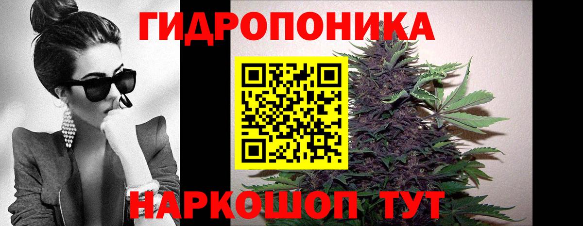 Конопля марихуана Джанкой